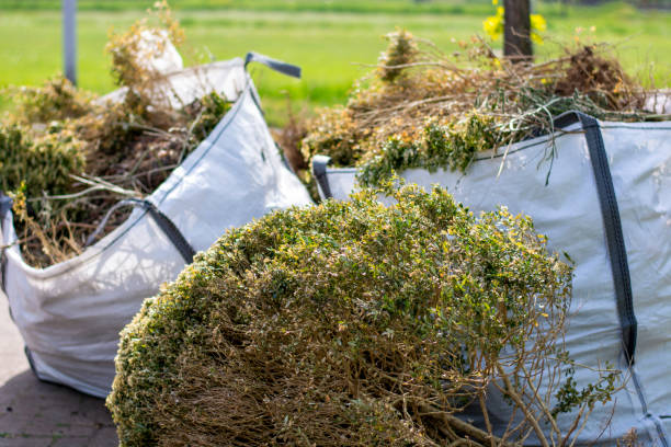 Best Commercial Junk Removal  in Clifton, CO